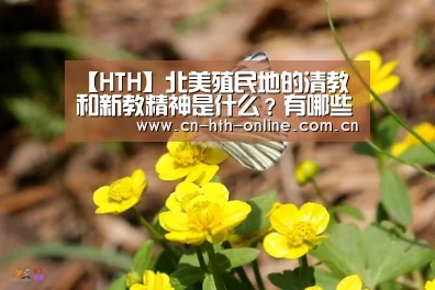 【HTH】北美殖民地的清教和新教精神是什么？有哪些特点？(图2)